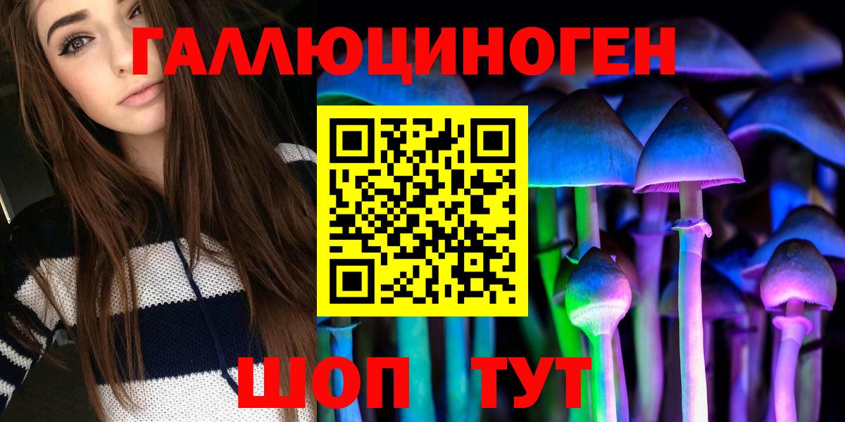купить закладку  Псилоцибиновые грибы Psilocybe  Вход с VPN  Верхняя Пышма 